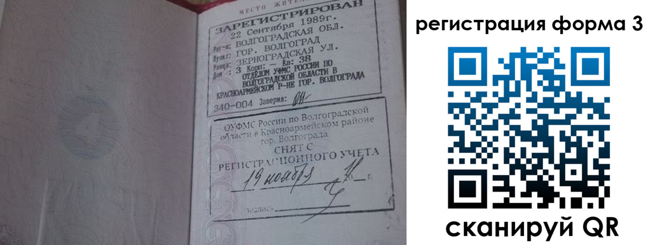 прописка штамп в Александровске