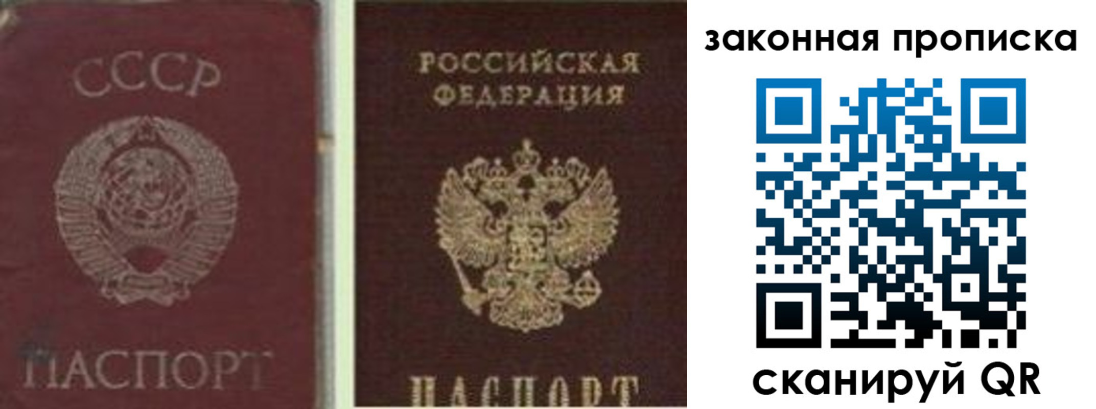 прописка для работы в Александровске